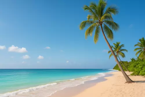 $5000 Travel Voucher